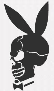 Play BOY